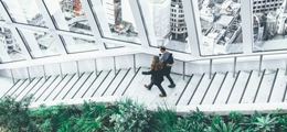 gallery/pexels-photo (2)